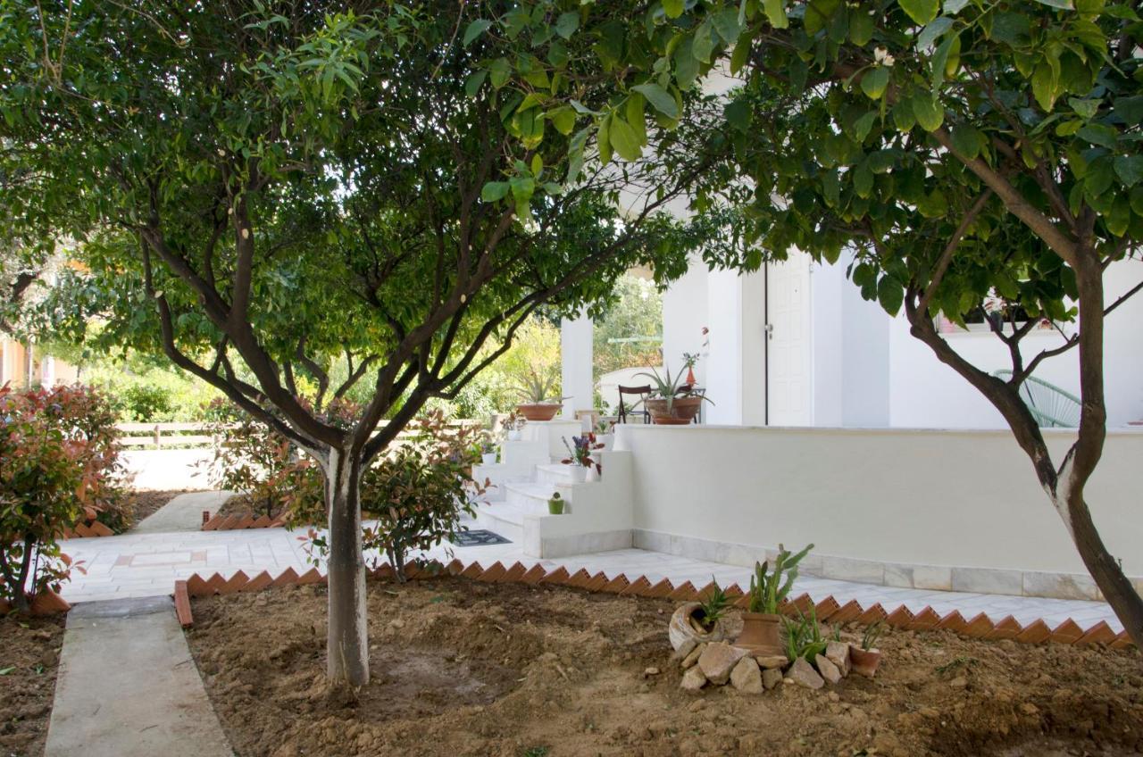Garden House Palaio Faliro Athén Kültér fotó