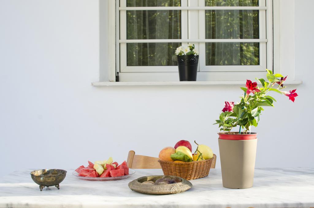 Garden House Palaio Faliro Athén Kültér fotó